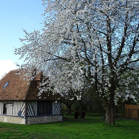 Gite Falafa Normand Pont-l'Eveque (Calvados) Exterior foto